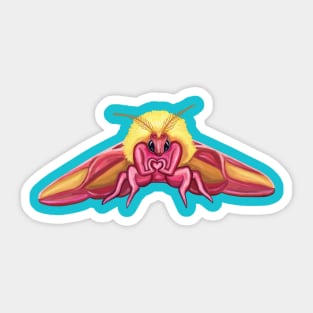 Cute Rosy Maple Moth Sticker